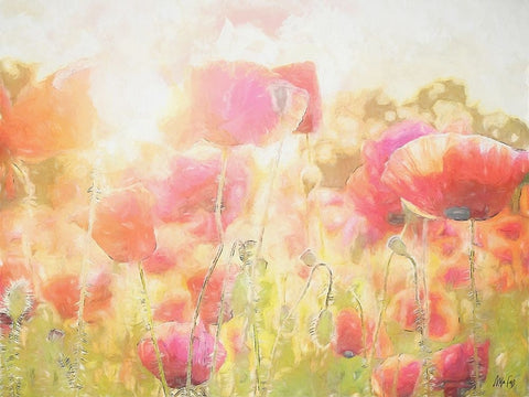 Poppy I White Modern Wood Framed Art Print with Double Matting by Fay, Mela