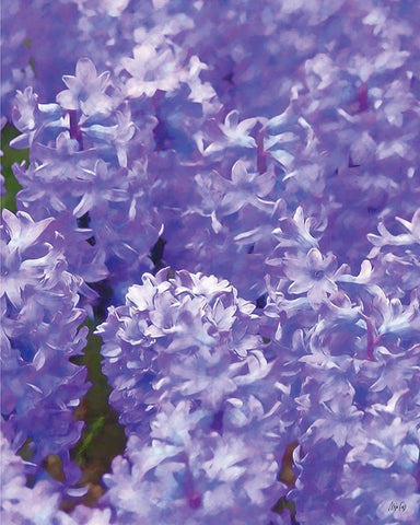 Purple II White Modern Wood Framed Art Print with Double Matting by Fay, Mela