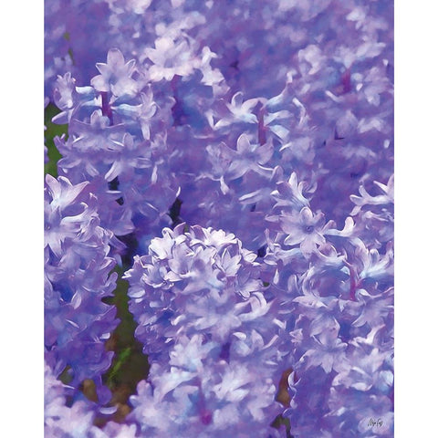 Purple II White Modern Wood Framed Art Print by Fay, Mela