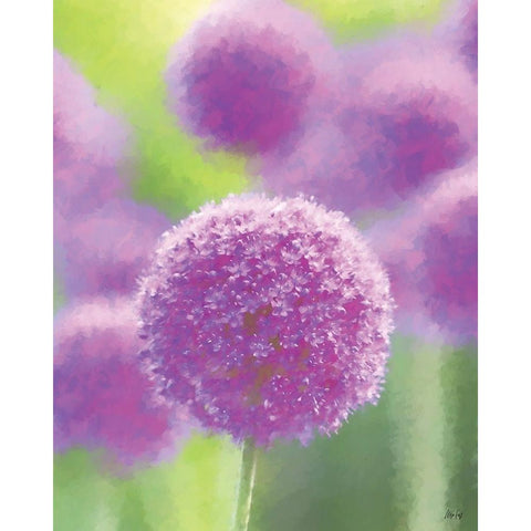 Purple III Black Modern Wood Framed Art Print with Double Matting by Fay, Mela