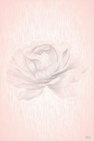 Orange Rose White Modern Wood Framed Art Print with Double Matting by Fay, Mela