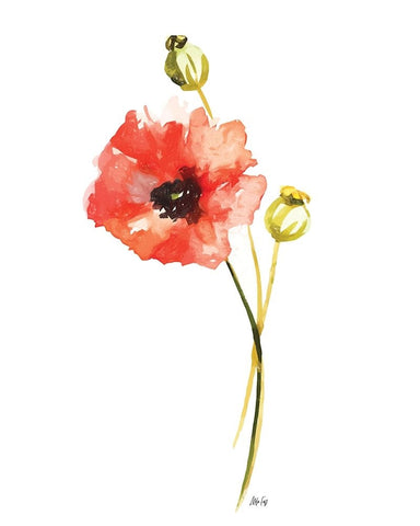 Red Poppy Black Ornate Wood Framed Art Print with Double Matting by Fay, Mela