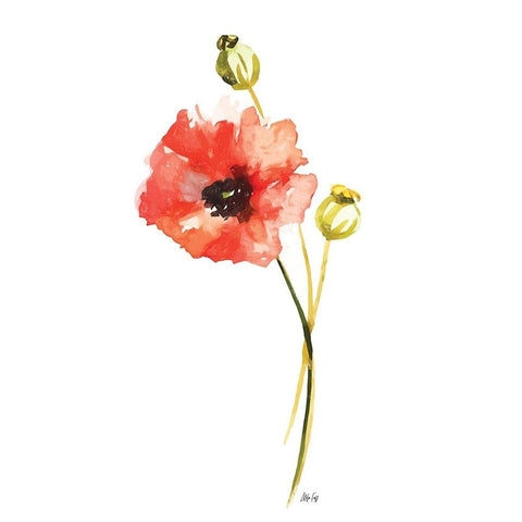 Red Poppy Black Modern Wood Framed Art Print by Fay, Mela