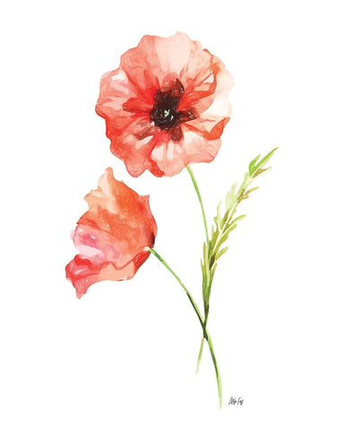 Red Poppy II White Modern Wood Framed Art Print with Double Matting by Fay, Mela