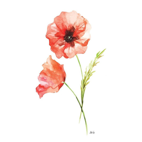 Red Poppy II Black Modern Wood Framed Art Print by Fay, Mela