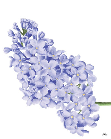 Lilac Flower White Modern Wood Framed Art Print with Double Matting by Fay, Mela