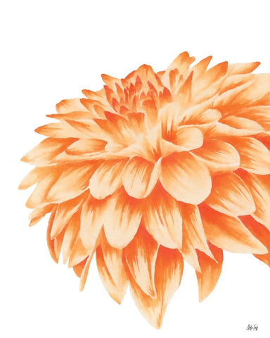 Orange Chrysanthemum White Modern Wood Framed Art Print with Double Matting by Fay, Mela