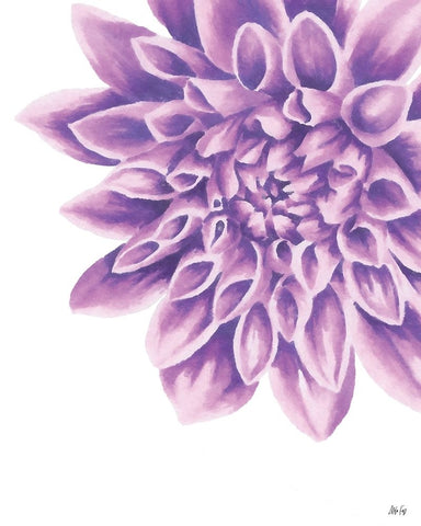 Purple Chrysanthemum Black Ornate Wood Framed Art Print with Double Matting by Fay, Mela