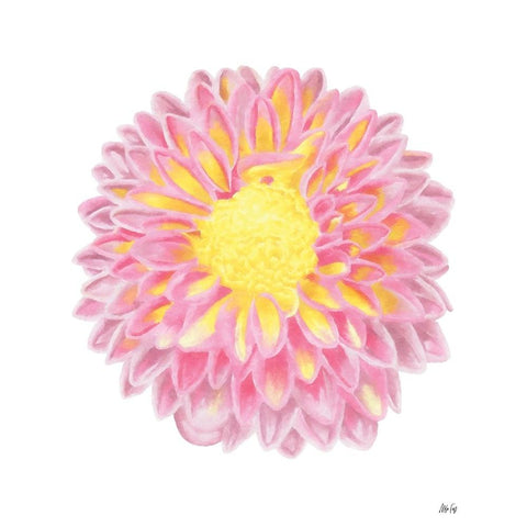 Pink Chrysanthemum Gold Ornate Wood Framed Art Print with Double Matting by Fay, Mela