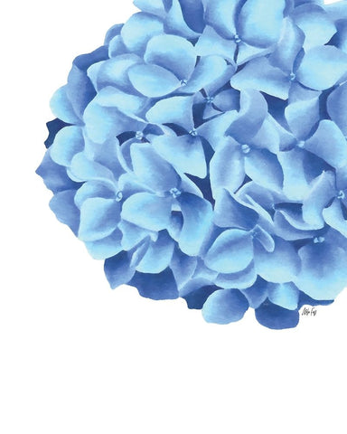 Hydrangea White Modern Wood Framed Art Print with Double Matting by Fay, Mela