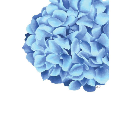 Hydrangea Black Modern Wood Framed Art Print by Fay, Mela