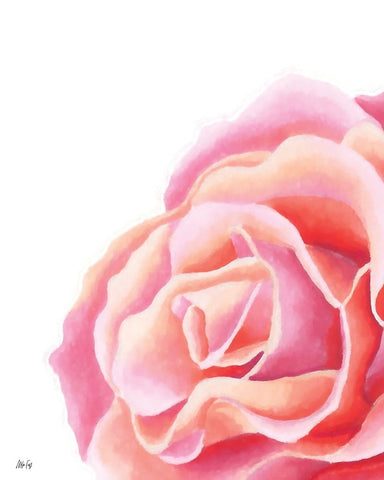 Pink Rose II White Modern Wood Framed Art Print with Double Matting by Fay, Mela