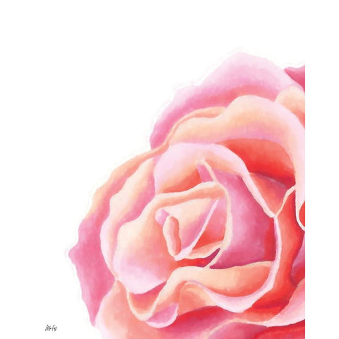 Pink Rose II Black Modern Wood Framed Art Print by Fay, Mela