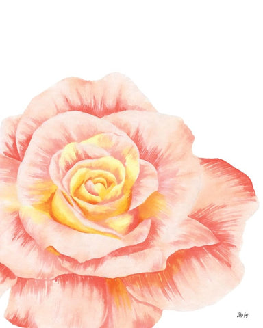 Orange Rose White Modern Wood Framed Art Print with Double Matting by Fay, Mela