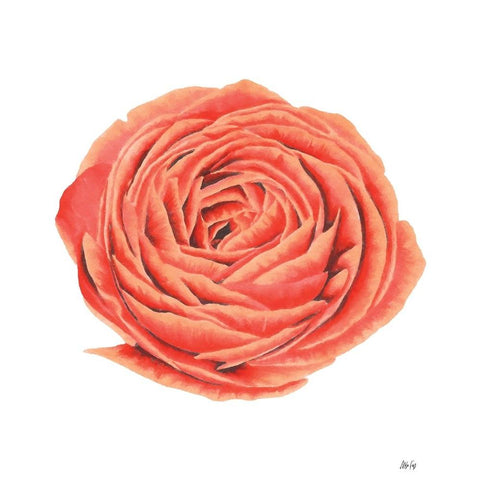 Orange Rose Black Modern Wood Framed Art Print by Fay, Mela