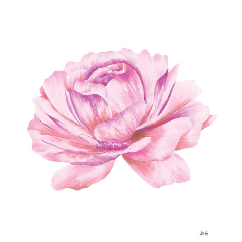 Pink Rose Black Modern Wood Framed Art Print with Double Matting by Fay, Mela