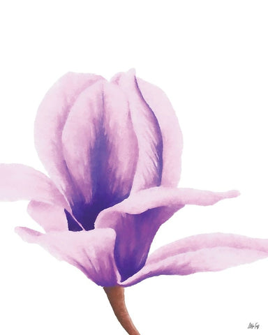 Purple Orchid White Modern Wood Framed Art Print with Double Matting by Fay, Mela