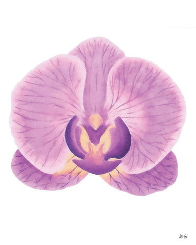Purple Orchid II Black Ornate Wood Framed Art Print with Double Matting by Fay, Mela