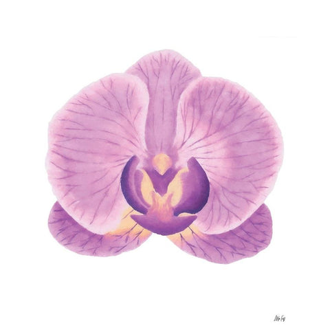 Purple Orchid II Gold Ornate Wood Framed Art Print with Double Matting by Fay, Mela