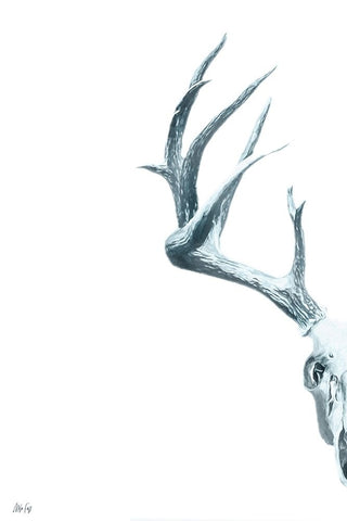 Antlers I White Modern Wood Framed Art Print with Double Matting by Fay, Mela