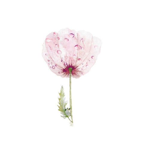 Floral II Black Modern Wood Framed Art Print with Double Matting by Fay, Mela