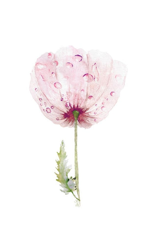 Floral II White Modern Wood Framed Art Print with Double Matting by Fay, Mela