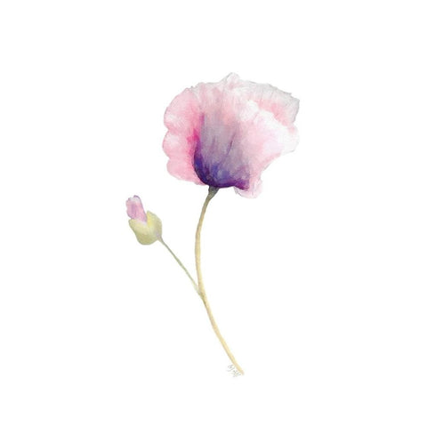 Floral III White Modern Wood Framed Art Print by Fay, Mela