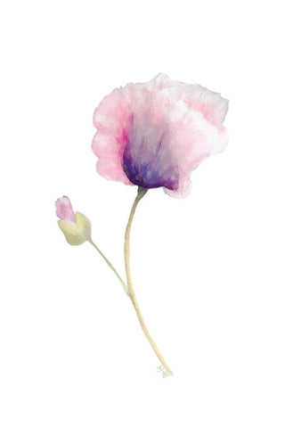 Floral III White Modern Wood Framed Art Print with Double Matting by Fay, Mela