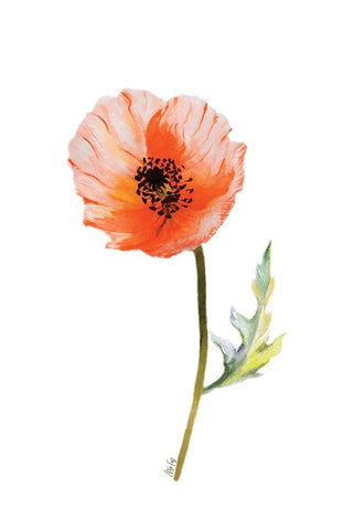 Poppy I Black Ornate Wood Framed Art Print with Double Matting by Fay, Mela