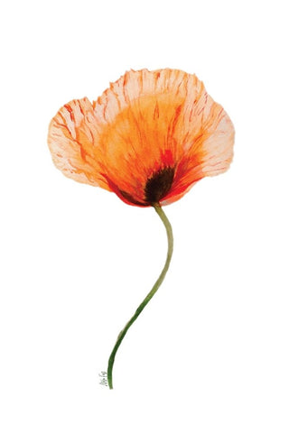 Poppy II White Modern Wood Framed Art Print with Double Matting by Fay, Mela