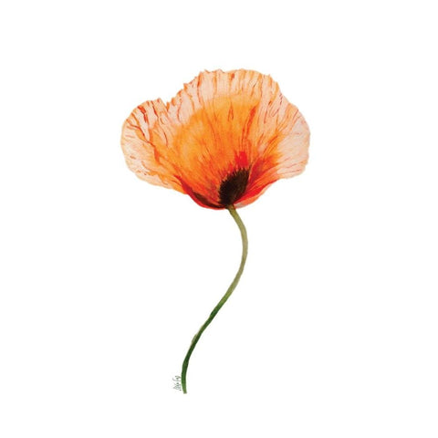 Poppy II Black Modern Wood Framed Art Print by Fay, Mela