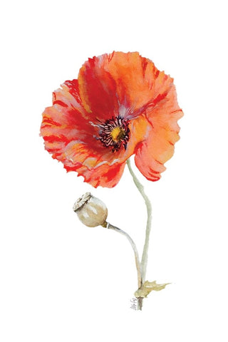 Poppy III Black Ornate Wood Framed Art Print with Double Matting by Fay, Mela