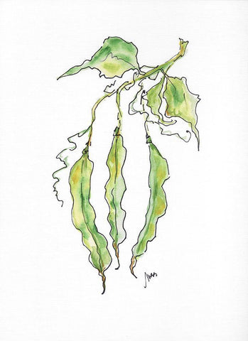 Peas White Modern Wood Framed Art Print with Double Matting by Strong, Molly Susan