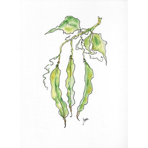 Peas Black Modern Wood Framed Art Print with Double Matting by Strong, Molly Susan