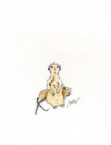 Meerkats White Modern Wood Framed Art Print with Double Matting by Strong, Molly Susan