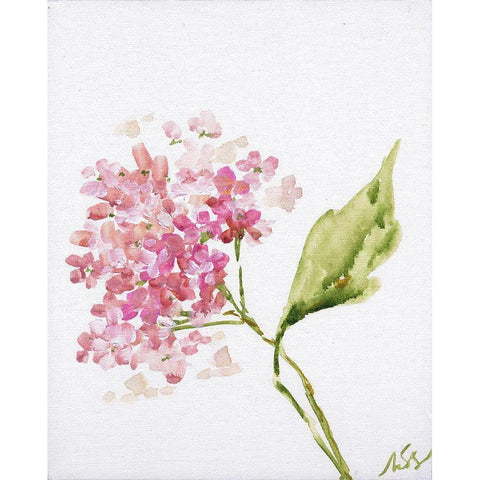 Pink Blossoms Black Modern Wood Framed Art Print with Double Matting by Strong, Molly Susan