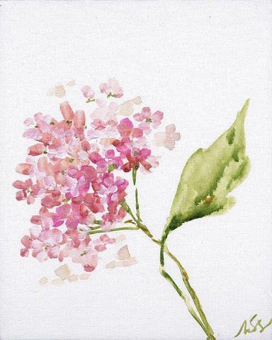 Pink Blossoms Black Ornate Wood Framed Art Print with Double Matting by Strong, Molly Susan