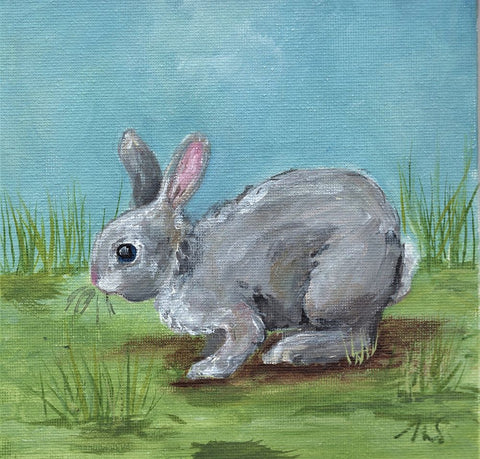 Gray Bunny Black Ornate Wood Framed Art Print with Double Matting by Strong, Molly Susan