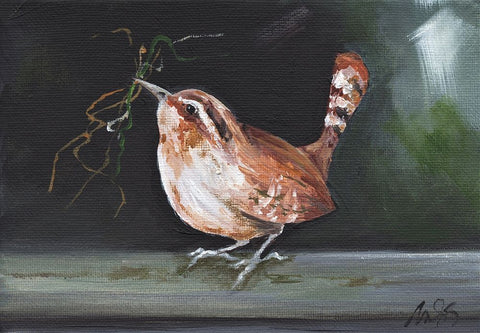 Wren Black Modern Wood Framed Art Print by Strong, Molly Susan