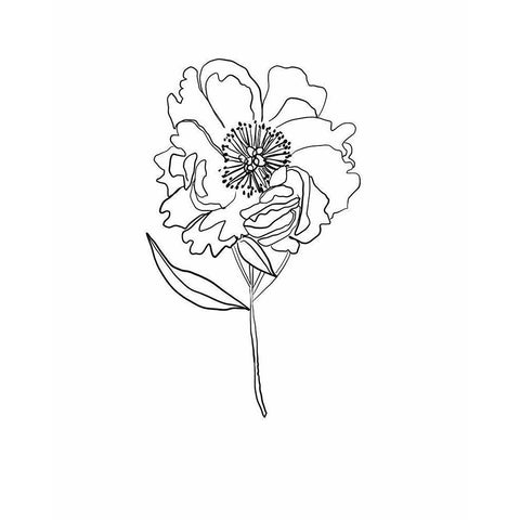 Peony White Modern Wood Framed Art Print by Rupp, Mariah