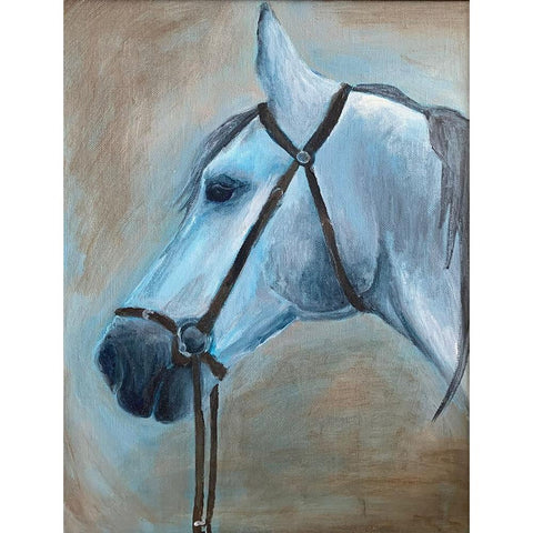 Horse Black Modern Wood Framed Art Print with Double Matting by Rupp, Mariah