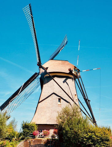 Windmill II Black Ornate Wood Framed Art Print with Double Matting by Singleton, Ashley