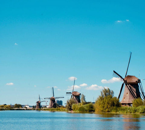 Windmill IV Black Ornate Wood Framed Art Print with Double Matting by Singleton, Ashley