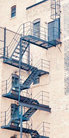 Fire Escape Black Ornate Wood Framed Art Print with Double Matting by Singleton, Ashley