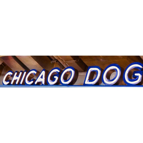 Chicago Dog Gold Ornate Wood Framed Art Print with Double Matting by Singleton, Ashley