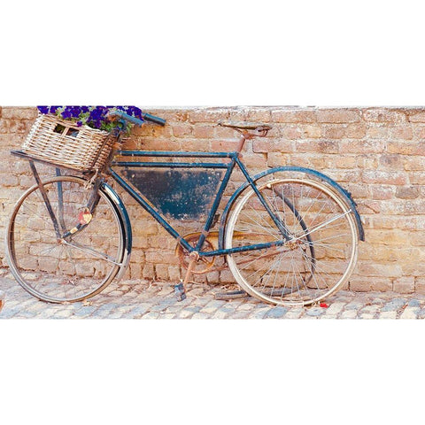Bicycle Black Modern Wood Framed Art Print with Double Matting by Singleton, Ashley