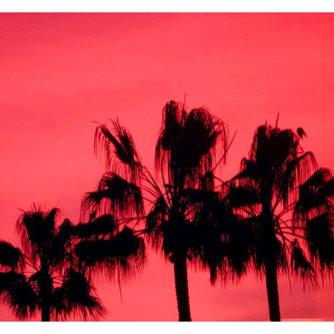 Neon Palm Trees III White Modern Wood Framed Art Print by Singleton, Ashley