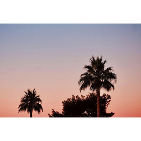 Palm Tree Sunset II Black Modern Wood Framed Art Print by Singleton, Ashley