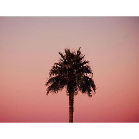 Palm Tree Sunset III Gold Ornate Wood Framed Art Print with Double Matting by Singleton, Ashley