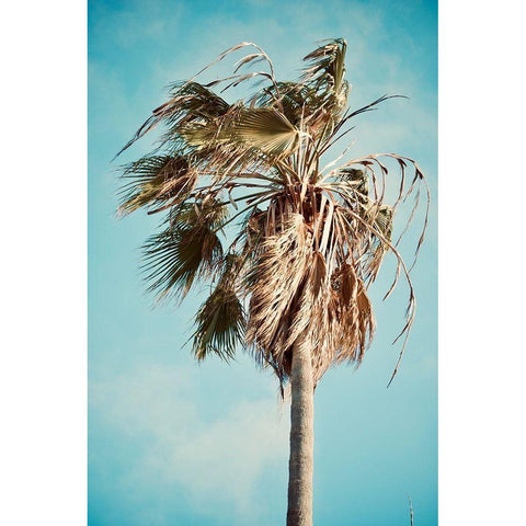 Palm Tree Gold Ornate Wood Framed Art Print with Double Matting by Singleton, Ashley